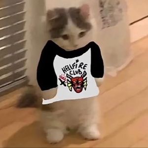 Meet your Posher, Genesis